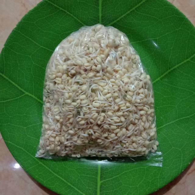 

Toge pendek / toge soto 250 gram