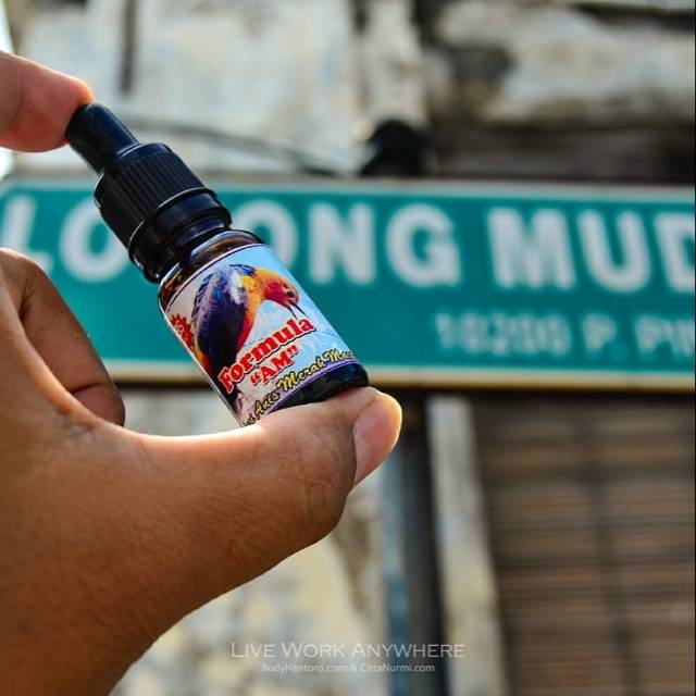 Vitamin Ajaib Formula AM Atas Burung Anis Merah Macet Jadi Bunyi