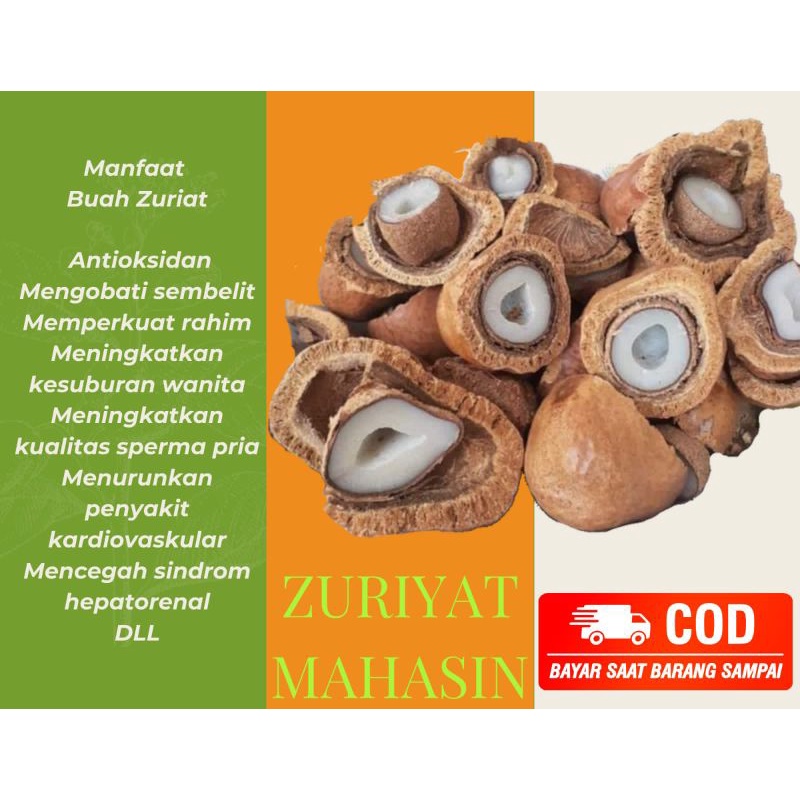 

buah zuriyat mahasin