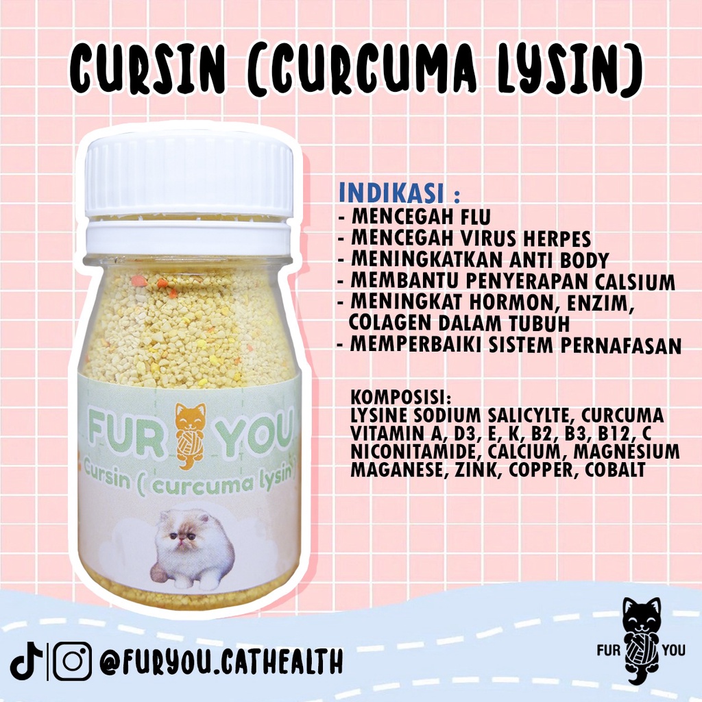 Curcuma Lysin Cursin Vitamin Penambah Nafsu Makan dan Penambah Imun Kucing Lysine