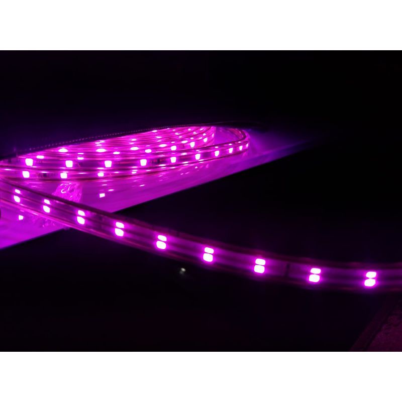 LED STRIP plafon 10 meter LAMPU SELANG type 5050 untuk proyek renovasi