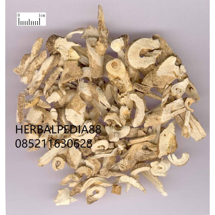 

bai xian pi 白鲜皮 Dicatamni Cortex 200gram