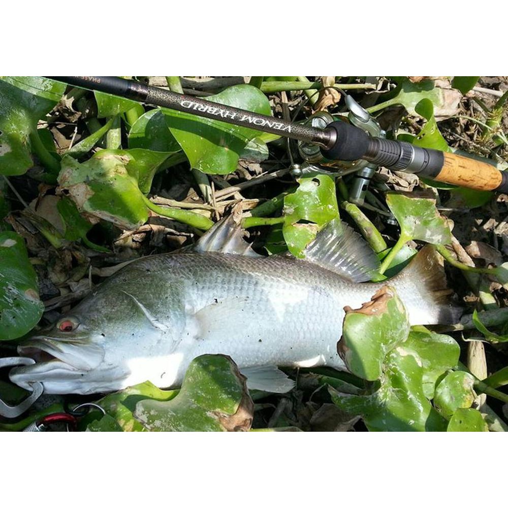 alat pancing mantul habis Viper VENOM HYBRID Spinning Rod VVH 702H-S - 10-30LB