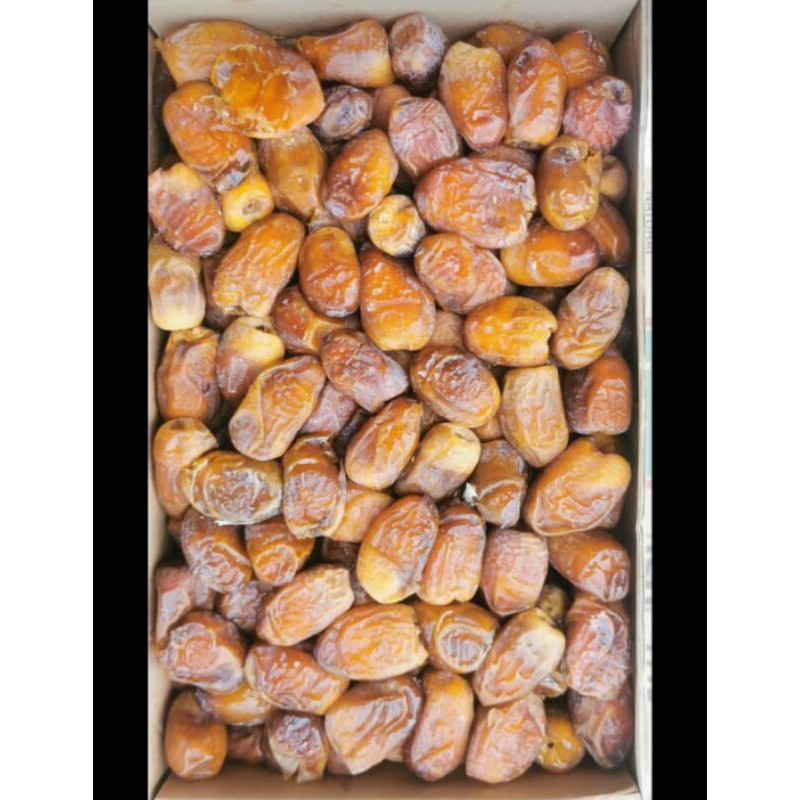 

Kurma Sakuri