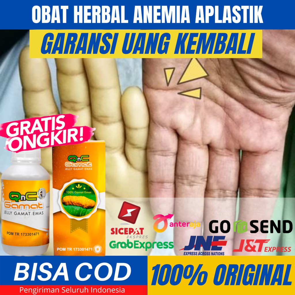 Obat Anemia Aplastik Pada Anak dan Dewasa_Penambah Darah Alami_Obat Herbal Anemia BPOM