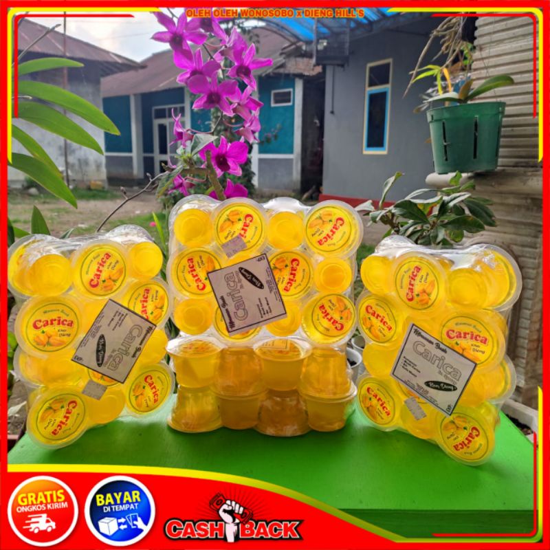 

SIRUP/ MANISAN CARICA MINI KHAS DIENG OLEH OLEH WONOSOBO GULA MURNI DAN TANPA PENGAWET