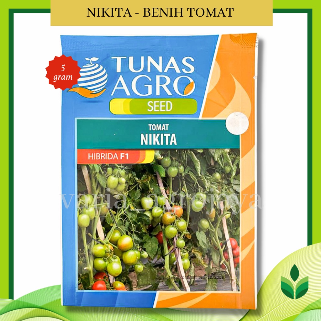 Benih Bibit Tomat Nikita - Tunas Agro