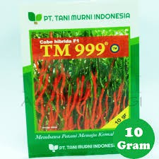 Bibit Cabai Tani Murni TM 999 Cabe Hibrida F1