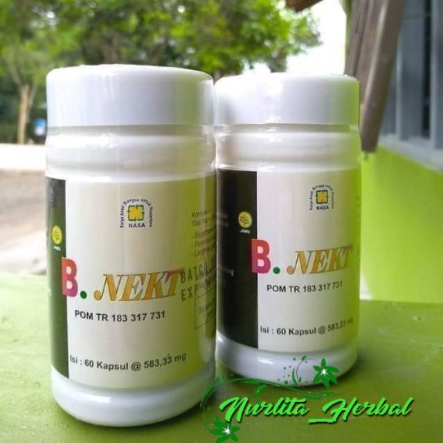 B.Nekt NASA ORI/obat herbal paru paru/obat herbal batuk/herbal sesak nafas