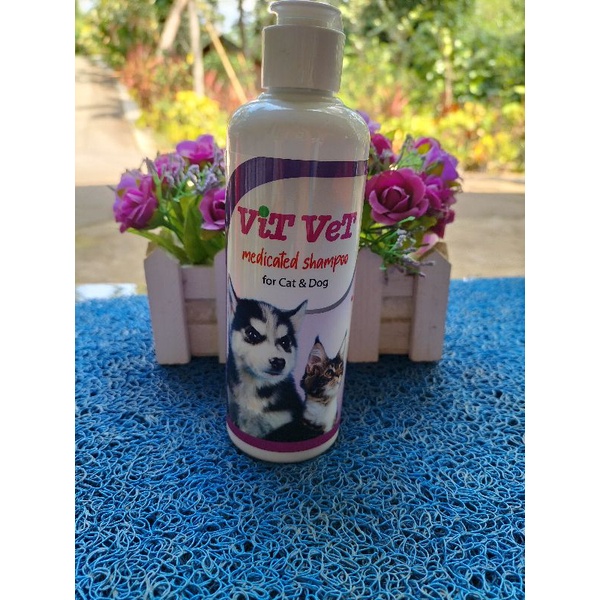 vit vet shampoo jamur kutu