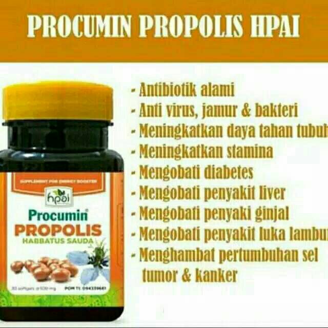 Procumin Propolis Habbatussauda Hni Hpai Anti Biotik Alami Obat Flu Batuk Daya Tahan Tubuh Shopee Indonesia