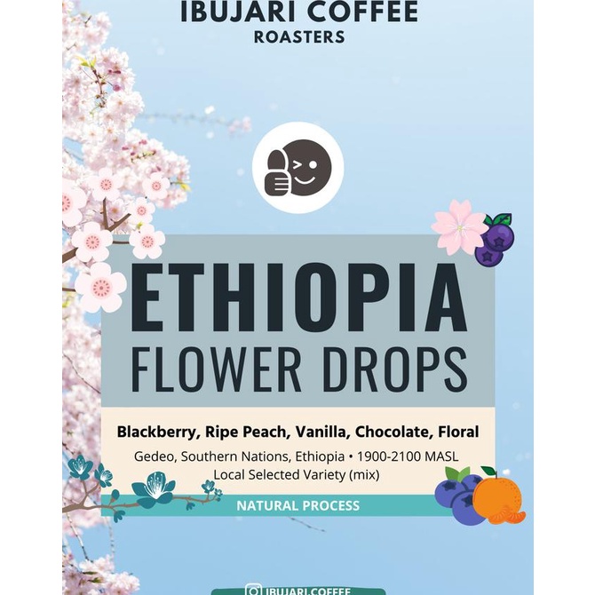 

[COD] Kopi Ethiopia Flower Drops Single Origin Filter Coffee [COD]