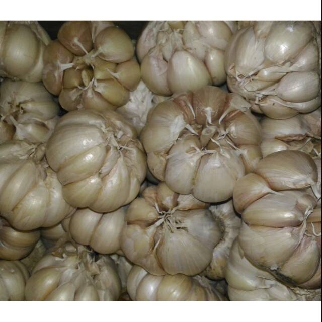 

Bawang putih kualitas super