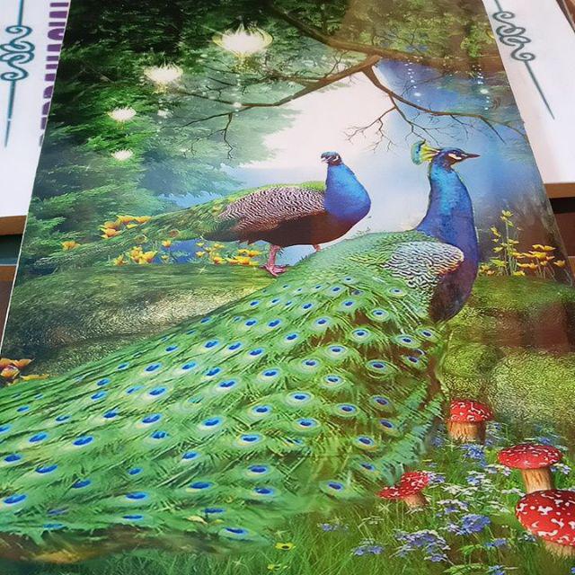 Walldecor Pajangan Dinding Quotes Shabby Chic Burung Merak