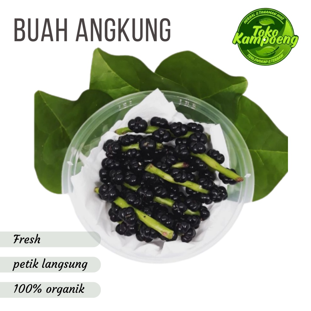 Buah Angkung segar Herbal struk isi 200 biji - Asli 100% organik