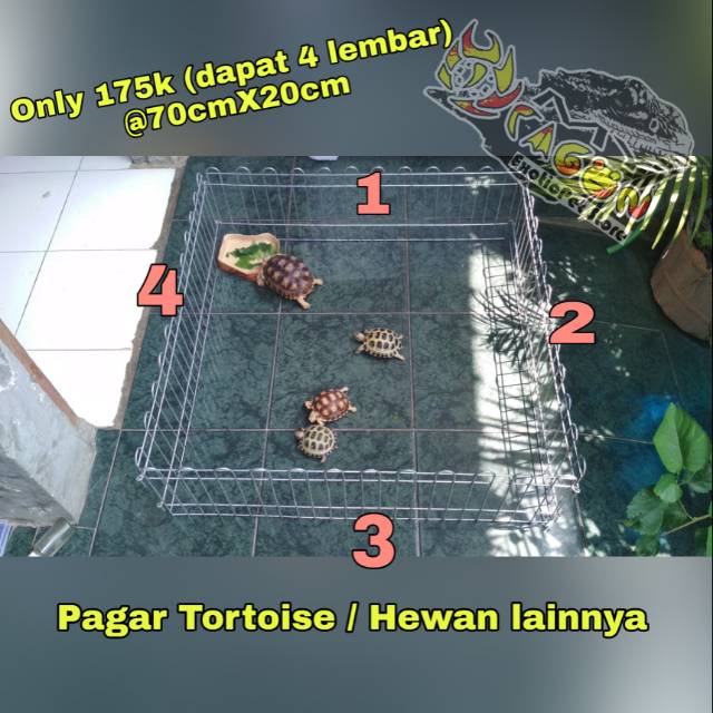 Kandang Pagar Hewan Kelinci Kura Darat TortoTortoise Sulcata Pardalis Cherryhead