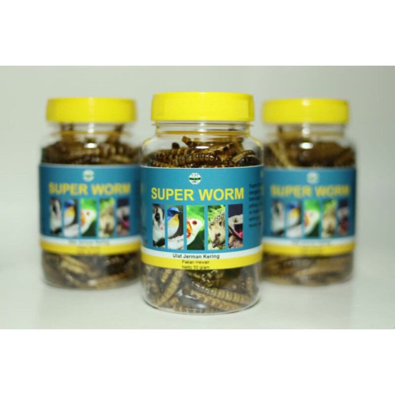 Makanan Hamster Ulat Jerman Kering Untuk Snack Cemilan Hamster Sugar Glider Burung Kadal Ikan Arwana