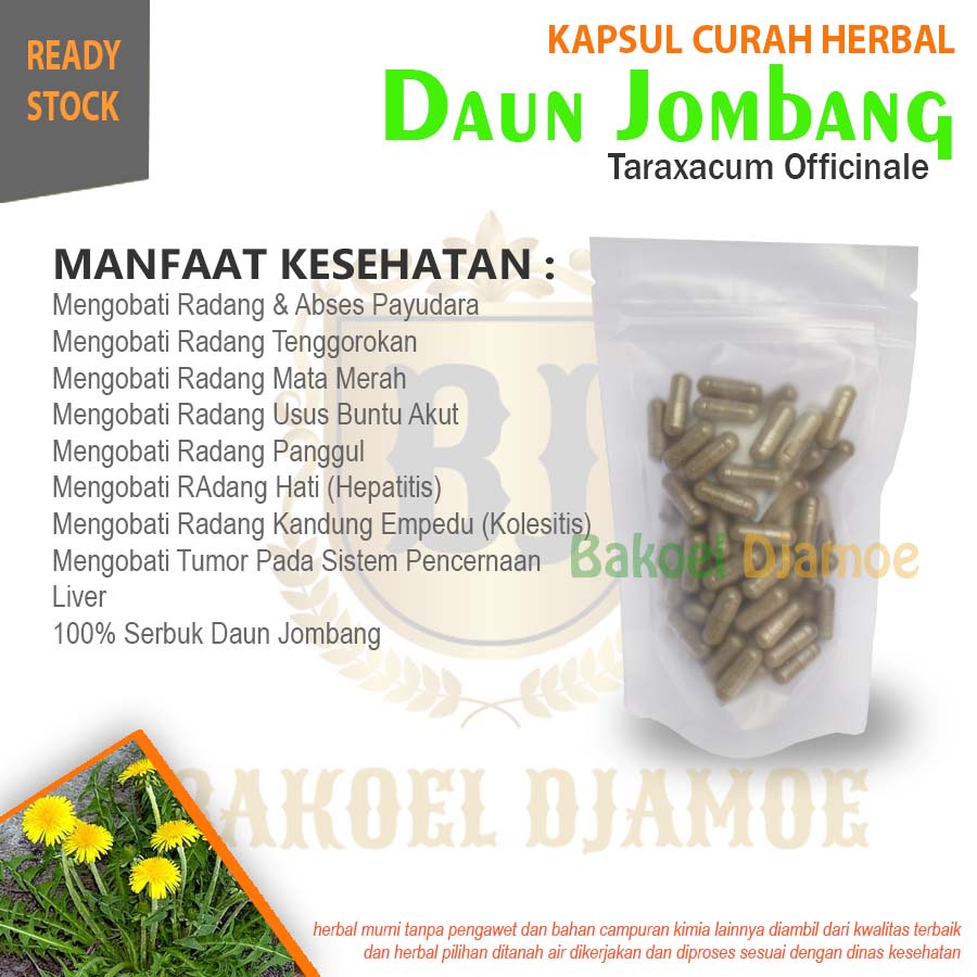 

Kapsul curah herbal daun jombang kapsul herbal radang tenggorokan