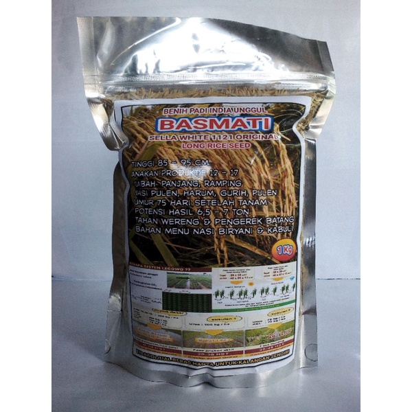 BENIH PADI BASMATI 1121
