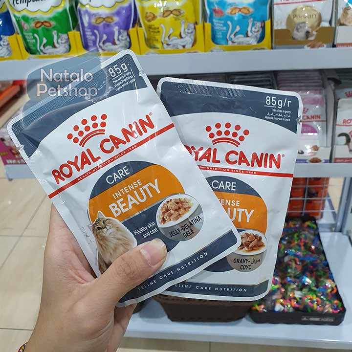 Royal Canin Intense Beauty Care Jelly/Gravy 85GR - Makanan Basah Kucing