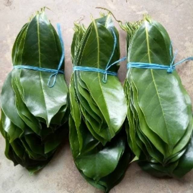 

Daun sirsak fresh 500 gram