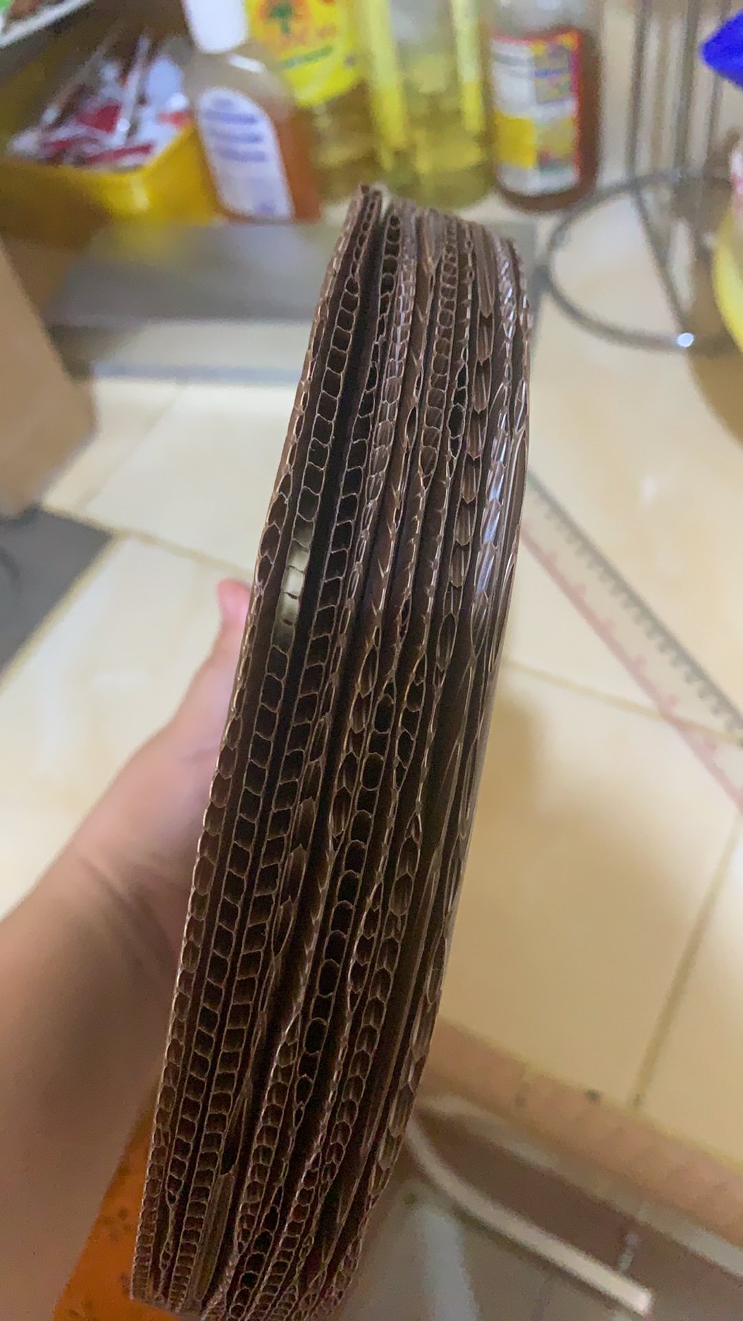 Alas Kue Bulat Diameter 23 Cm Tebal 3 Mm Plastik (10 Pcs)