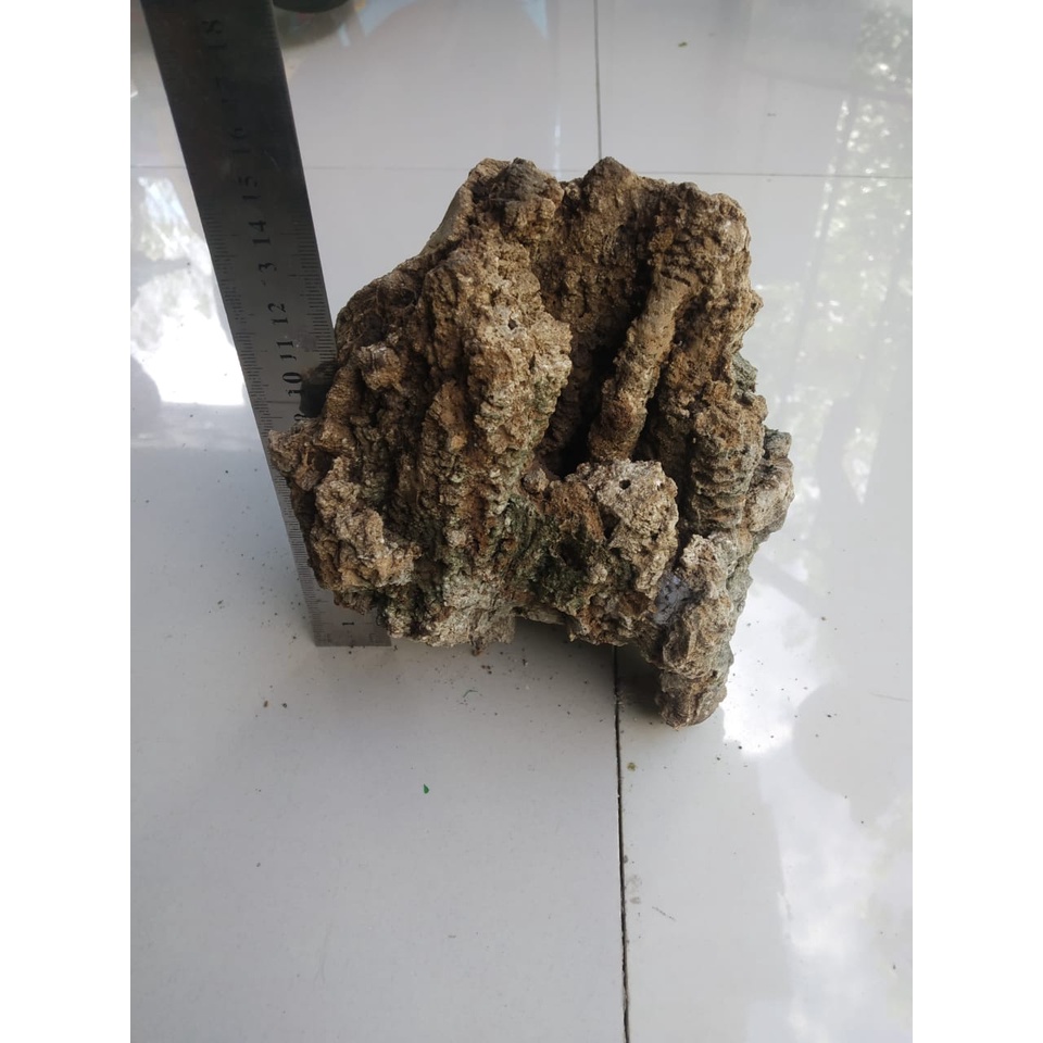 BATU KARANG GUNUNG UNTUK BONSAI DAN AQUASCAPE