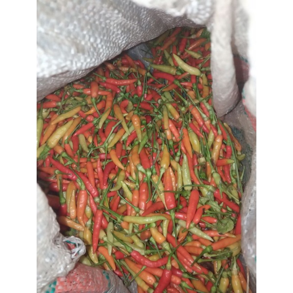

cabe fress