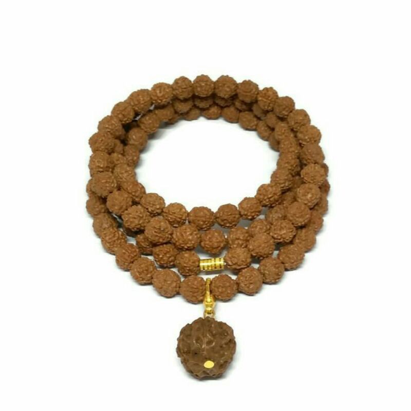 Kalung Rudraksha Jenitri Ganitri Genitri Asli Original