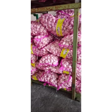 

bawang putih SINCO KARUNGAN 20KG