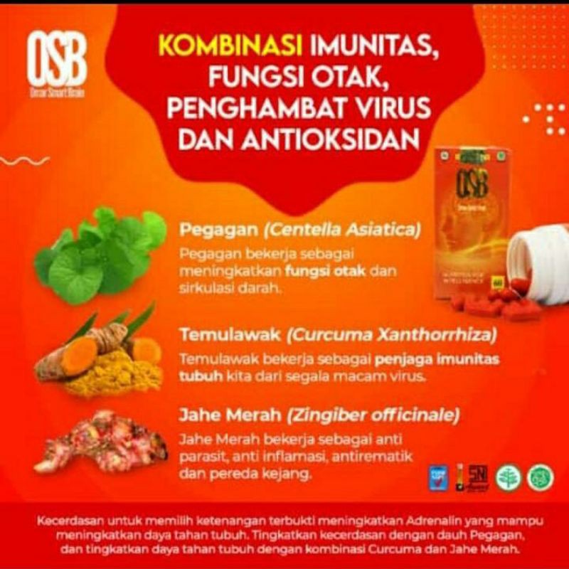 OSB Vitamin Otak Anak dan dewasa Omar Smart Brain Kapsul 100 % Produk Asli &amp; Original