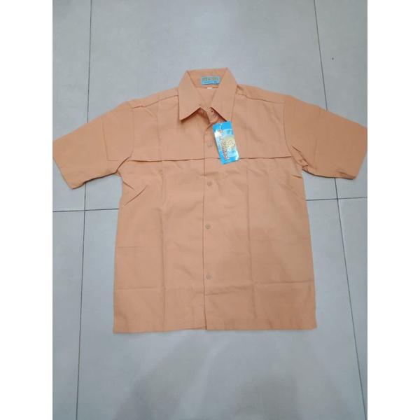 Seragam SMP/SMK/SMA baju putih dan pra pendek