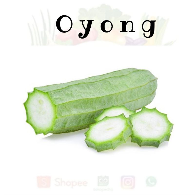 

Oyong