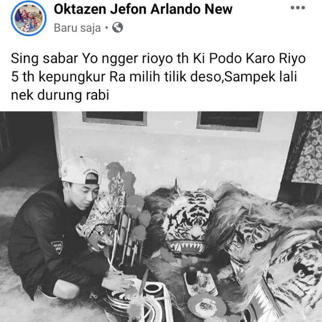 oktazennew
