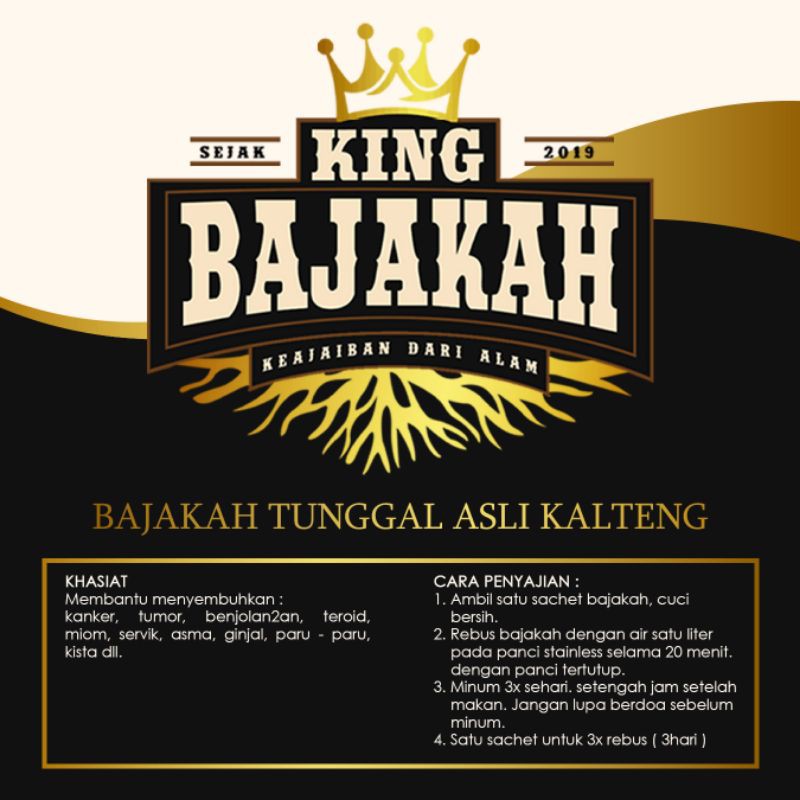 

KING BAJAKAH AKAR TUNGGAL KALTENG