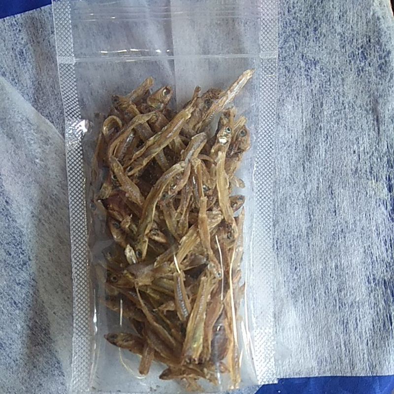 

ikan teri