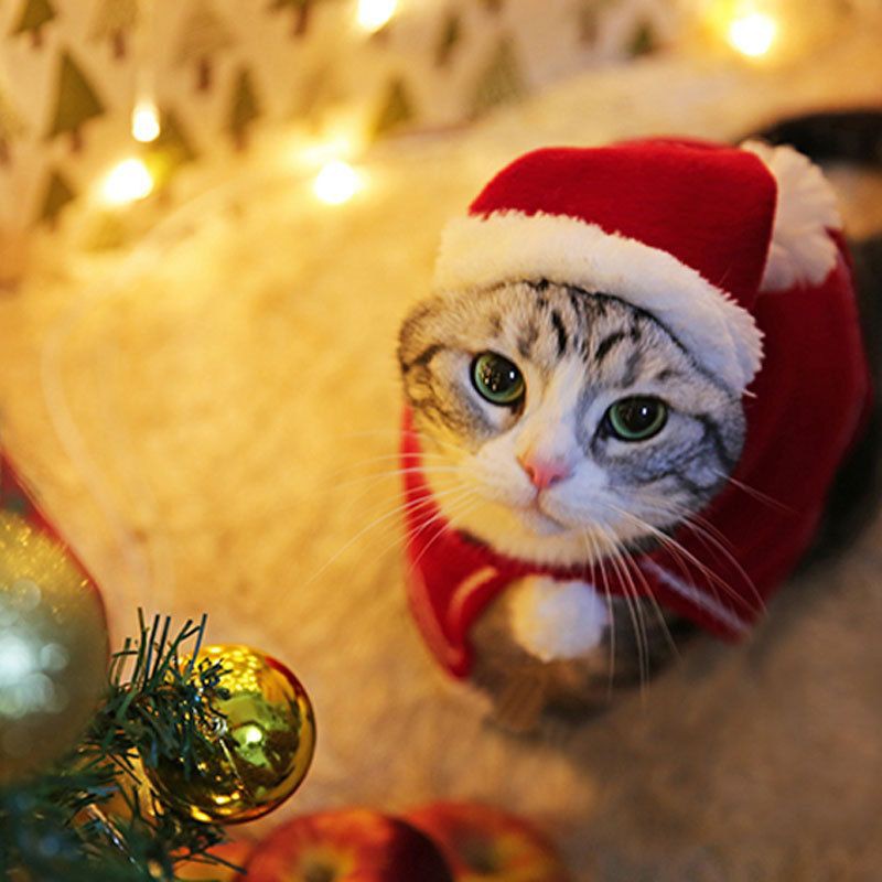 Syal / Bandana / Topi Kucing Peliharaan Motif Rusa Natal