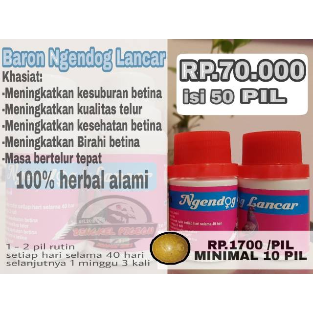 jamu vitamin obat nelur burung merpati dara lomba balap kolongan tomprang pos ngendog lancar baron