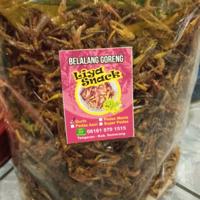 

Belalang Goreng Kecil 1 Kg