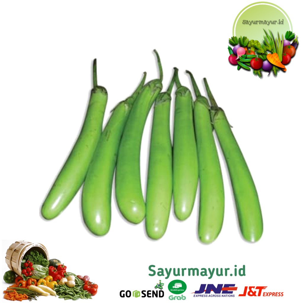 

TERONG HIJAU SAYURAN PER 1/4 (250 GRAM)