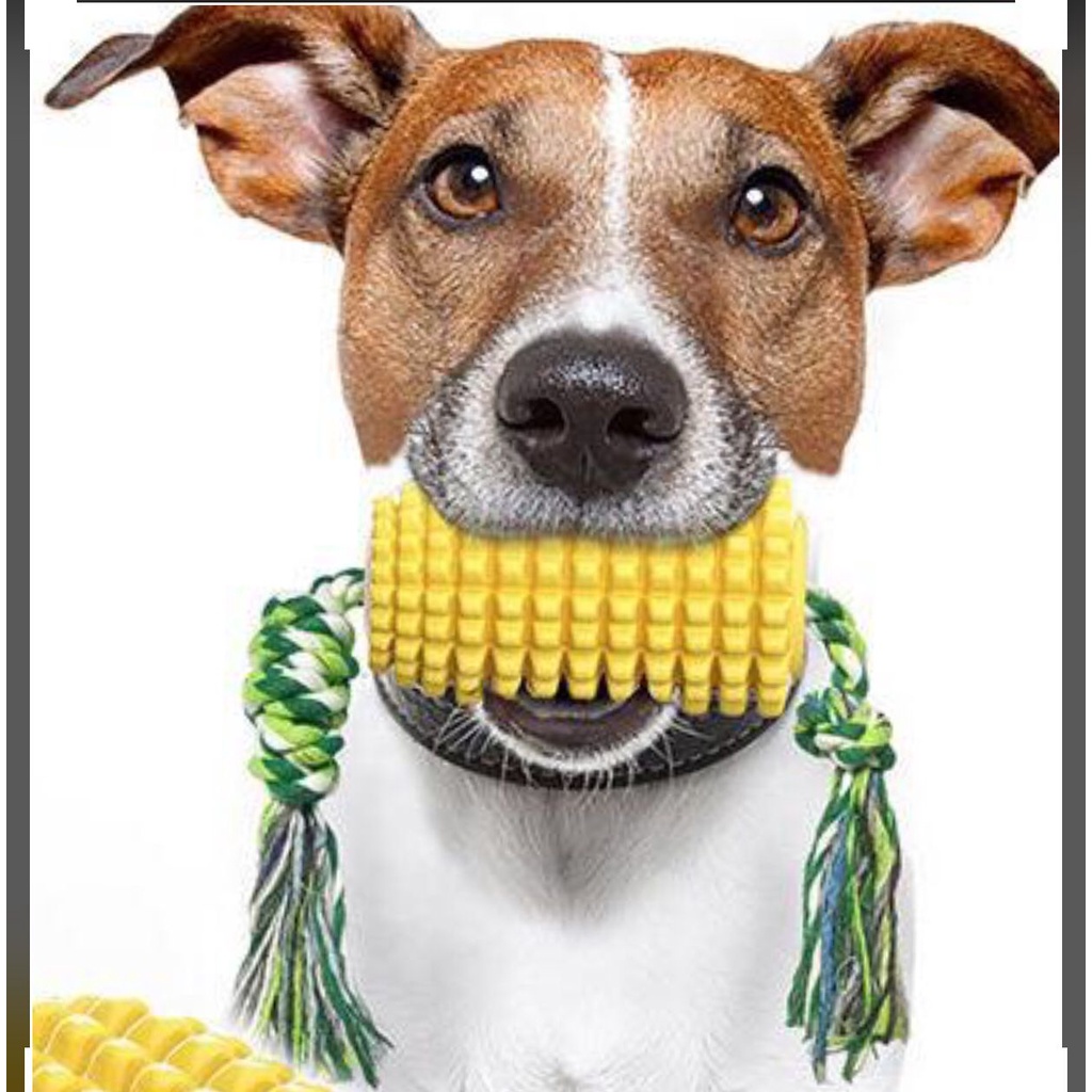 CA1850 Mainan Gigitan Anjing Bentuk Jagung + Tali Corn Dog ToothBrush