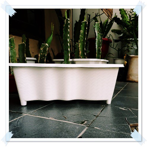 3 Pcs Pot Sgp 03 Putih Pot Plastik Panjang 40cm Bibit Bunga Putih