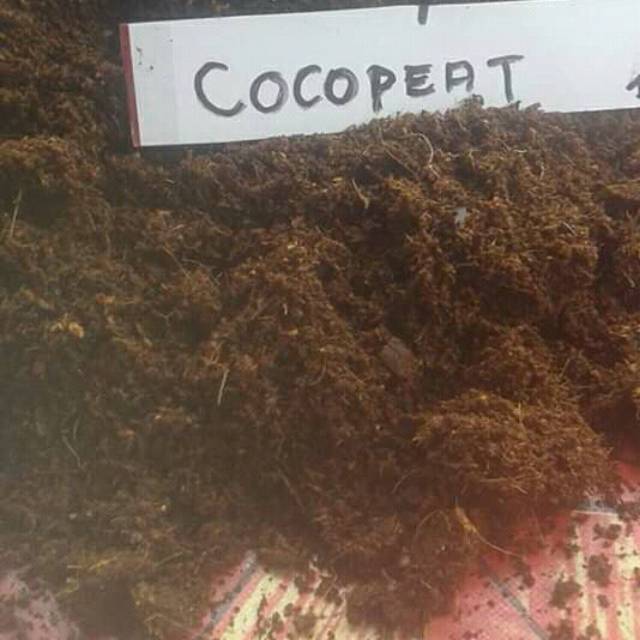 Media tanam cocopeat