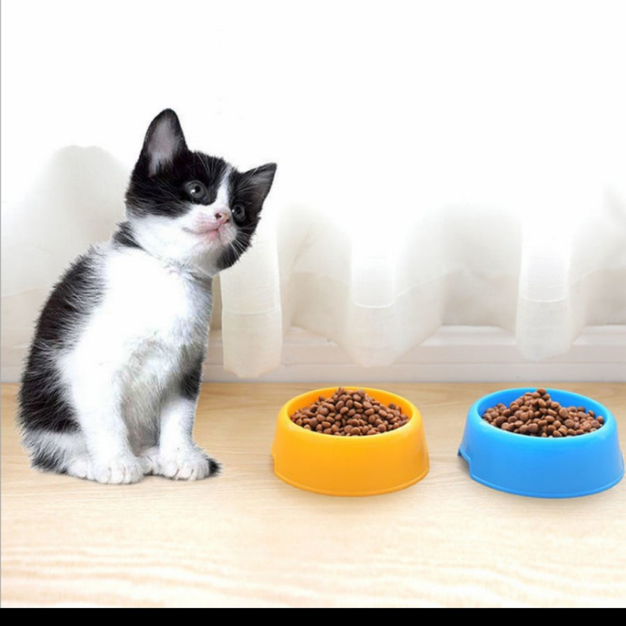 Pet Bowl Plastik Tempat Makan Anjing Minum Kucing Hewan Peliharaan New