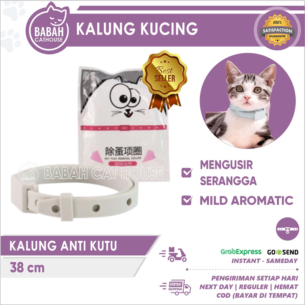 Giltbite_ Kalung Putih Anti Kutu Kucing Anjing Lucu Untuk Kitten Aksesoris Bagus Keren Import Dan