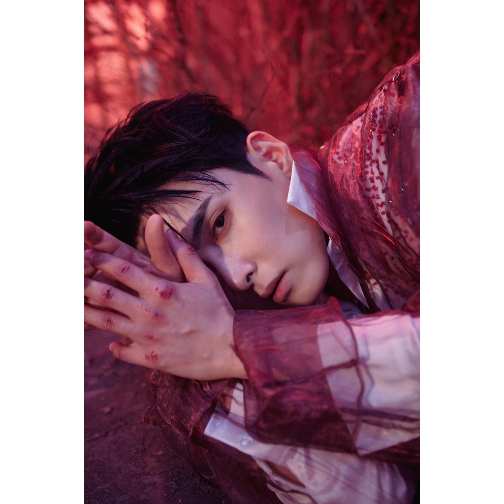 PRE ORDER RYEOWOOK 3RD MINI ALBUM [ A WILD ROSE ]