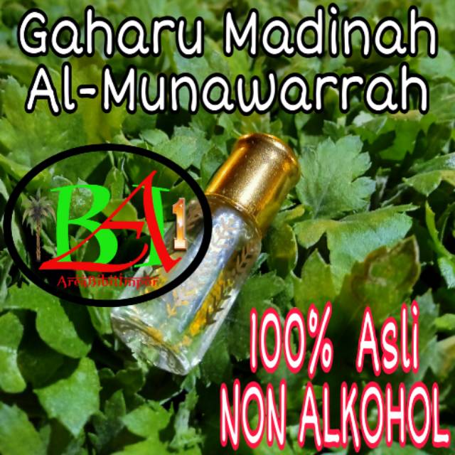 BIBIT PARFUM GAHARU Madinah Al Munawarrah