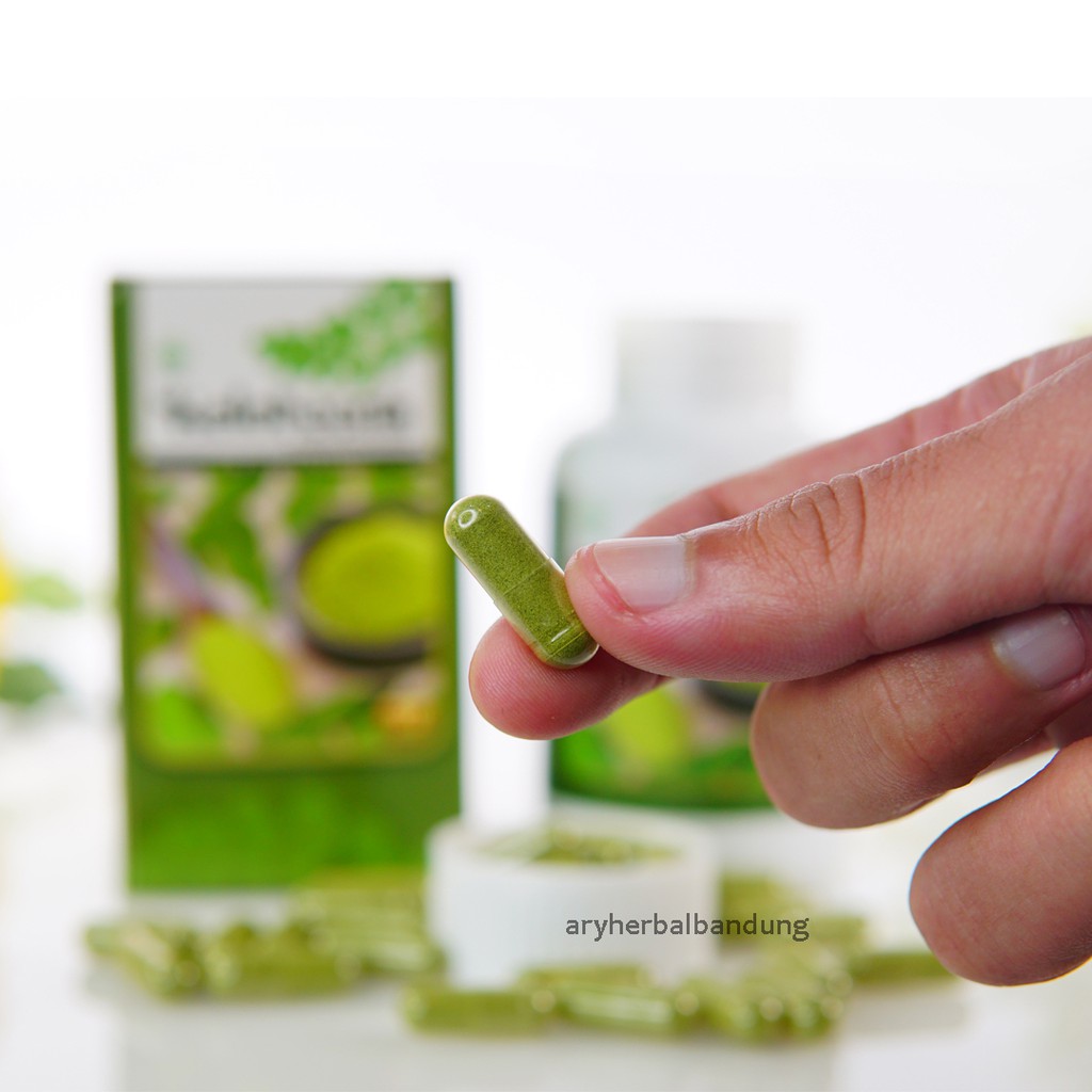 Obat Herbal Impoten - Impotensi Karena Diabetes - Ejakulasi Dini - Lemah Syahwat Keloreena Kapsul-7