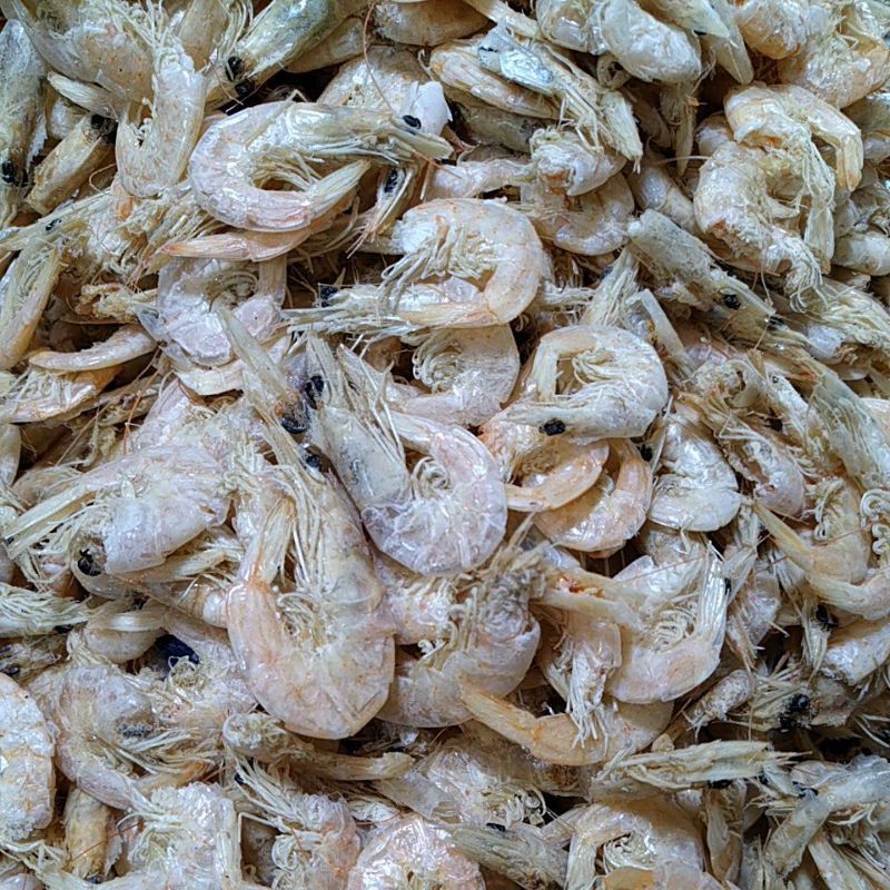 

Udang manis kasar