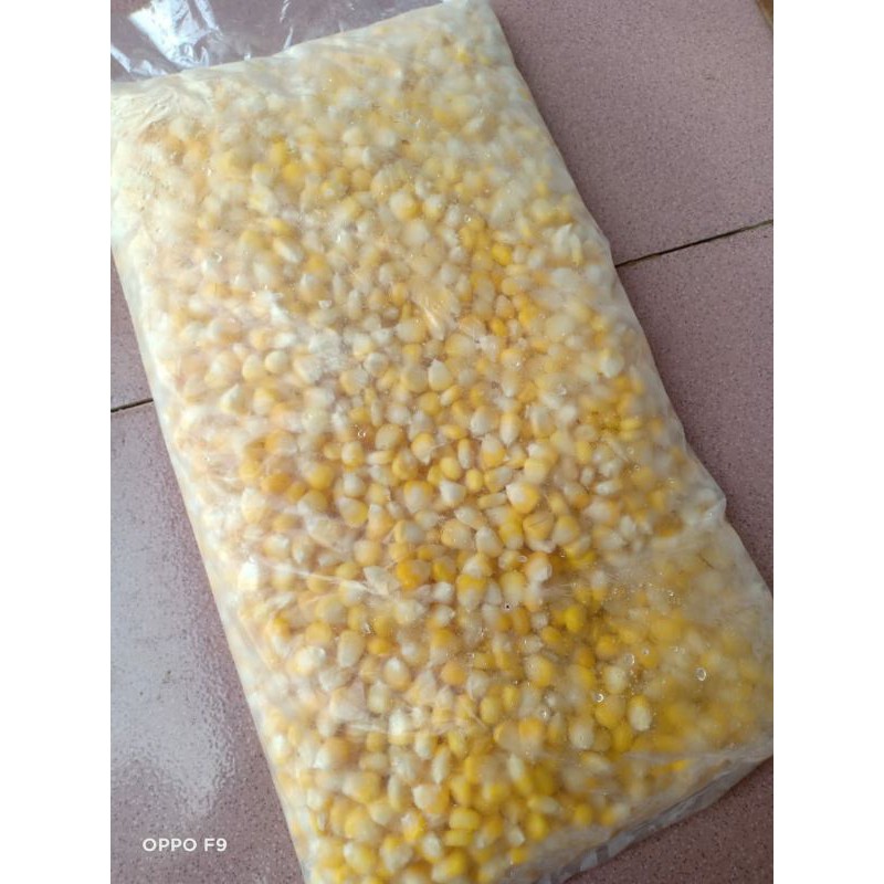 jagung pipil manis 1 kg